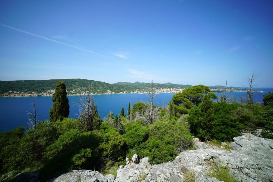 Zadar: Guided Tour to Ugljan, Osljak, & Galevac by Speedboat - Price and value: what $40 buys you, plus the small add-ons