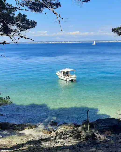 Zadar: Half-Day Island-Hopping and Lagoons Cruise with Fruit - What This Half-Day Cruise Is Really Like