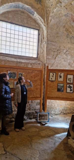 Zadar: Hidden Gems and History Tour - People’s Square and the food market: history you can taste