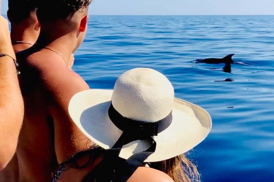Zadar: Island-Hopping, Swimming & Snorkeling SpeedBoat Tour - Preko Area to Galevac: Walk the Island, Then Choose Water or Rest