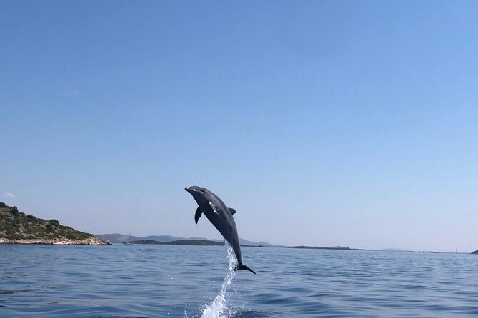 Zadar: Island Luxury Speedboat Tour with Snorkeling - Guides on board: what the best ones add to the day