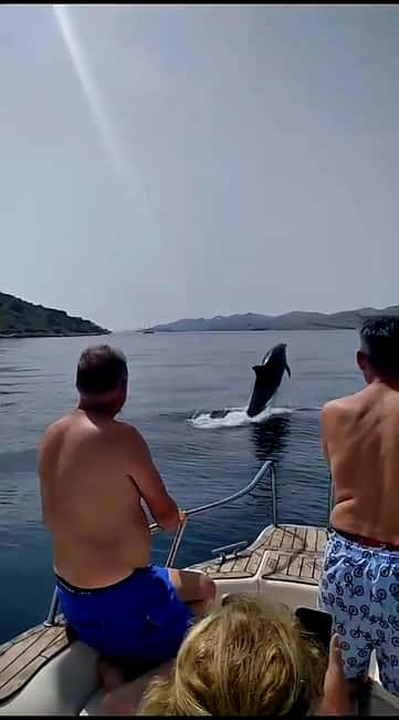 Zadar: Islands & Lagoons Tour with Drinks and ECO fruits... - Why this 4-hour Zadar boat outing feels like a full experience