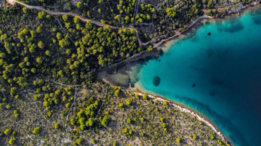 Zadar: Private Half Day Speedboat Tour - Quick reasons to pick this Zadar private speedboat tour