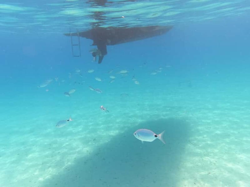 Zadar: Private SpeedBoat Tour to Islands - Drinks Included - Ošljak: the smallest inhabited island in Croatia