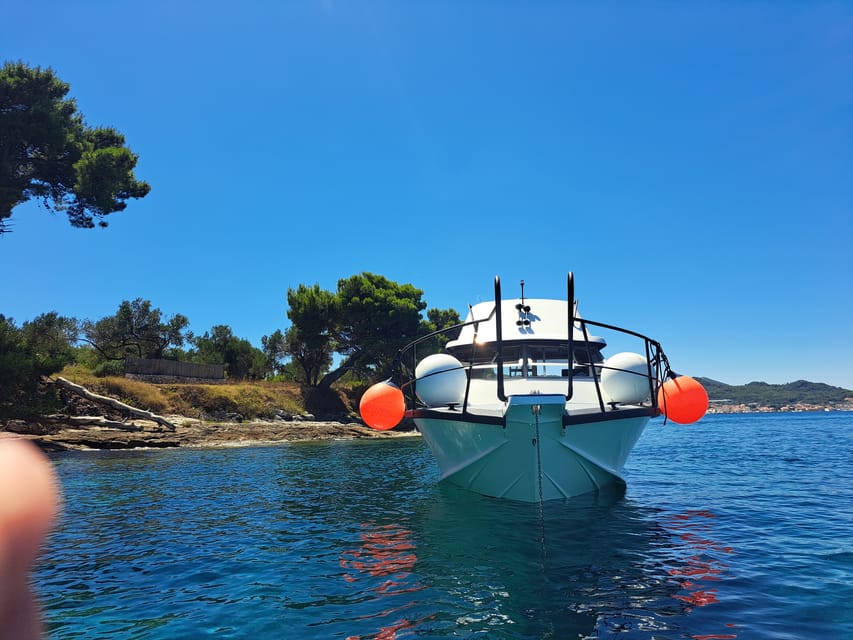 Zadar: Private Tour to Ugljan, Osljak and Galevac - half day - Price and Value: Is $64 Per Person Fair for This Trip?