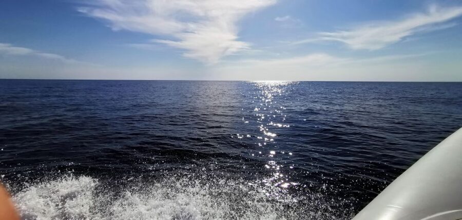 Zadar: Sakarun, Cave, Blue Lagoon, Dragon Eye & Snorkel Tour - Sakarun Beach: The Main Character of the Day