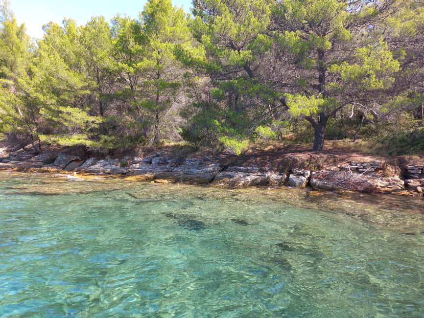 Zadar: Sea, Sun, and Wind Half-Day Sailing Adventure - From Zadar’s pier to real Adriatic sailing