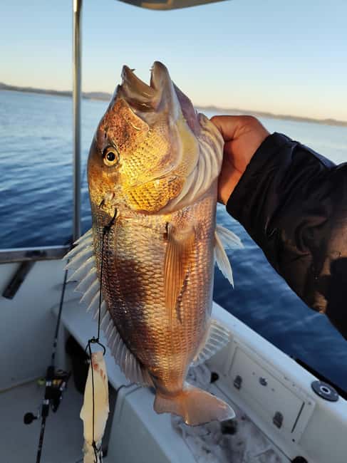 Zadar: Sunset Fishing Half-Day Guided Boat Trip - The Long Break With Sunset Views: Beer, Photos, Snorkeling, and Marine Life