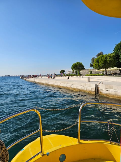 Zadar: Yellow Semi-Submarine Underwater Exploration Tour - Marine life expectations: what you’ll likely see (and what to keep realistic)